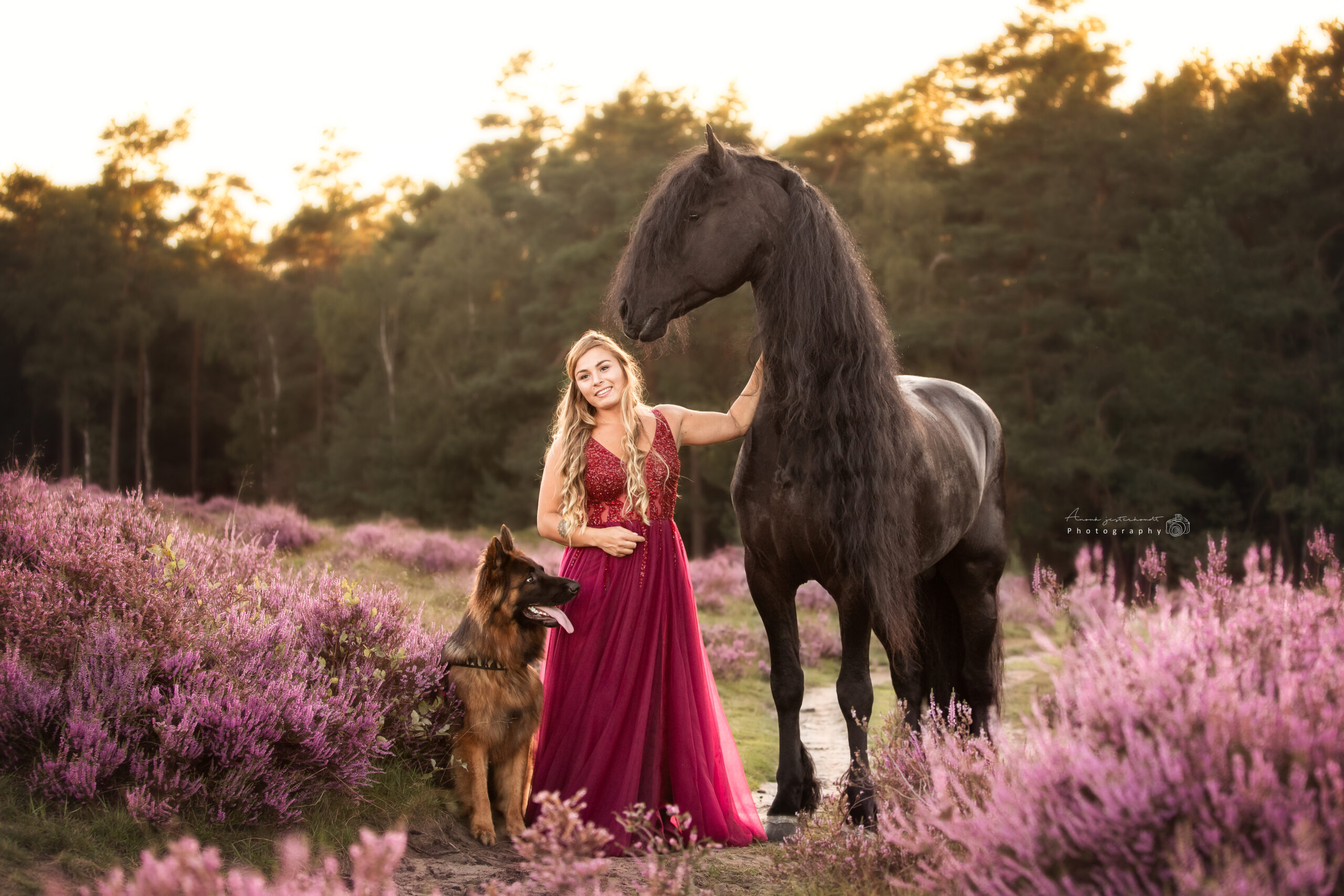 portretfoto-mens&paard&hond