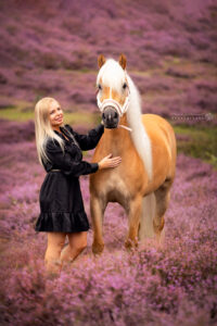 Haflinger