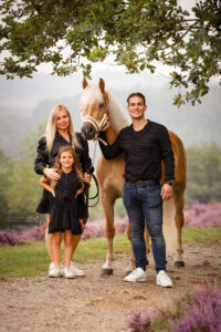 Haflinger